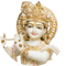 KRISHNA JI